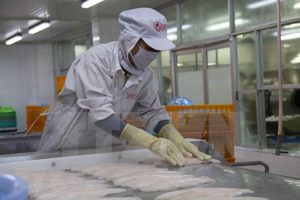 Siguen en tendencia alcista ventas de pescado Tra de Vietnam a Estados Unidos hinh anh 1