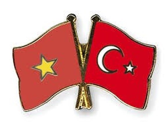 Nexos Vietnam-Turquia en los ultimos 40 anos, base para profundizar cooperacion bilateral hinh anh 1