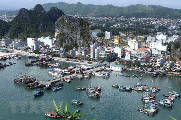 Gobierno de Vietnam pide retrasar la aprobacion de proyecto de ley sobre zonas economicas especiales hinh anh 1