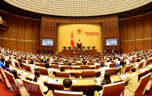 Parlamento de Vietnam analizara borradores legales sobre amnistia y educacion hinh anh 1
