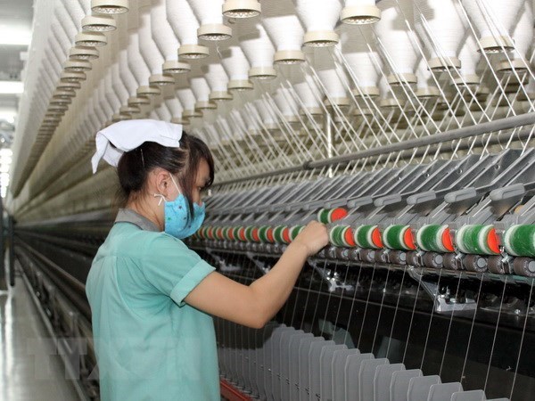 Construyen en Vietnam fabrica de hilados de lana de oveja hinh anh 1