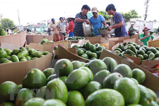 Productos agricolas vietnamitas buscan ganar terreno en mercado tailandes hinh anh 1