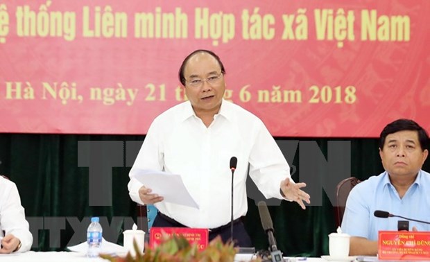 Premier de Vietnam resalta papel de cooperativas en integracion global hinh anh 1