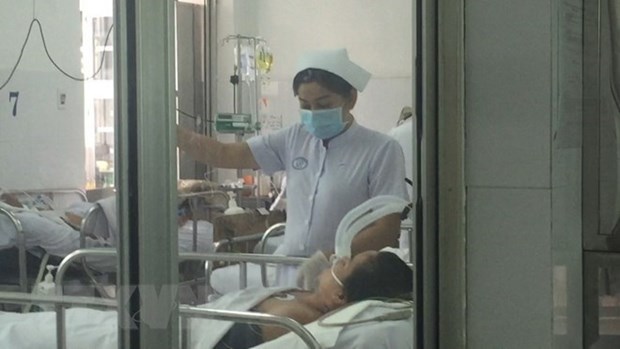 Se eleva a tres la cifra de fallecidos a causa de gripe A (H1N1) en Ciudad Ho Chi Minh hinh anh 1