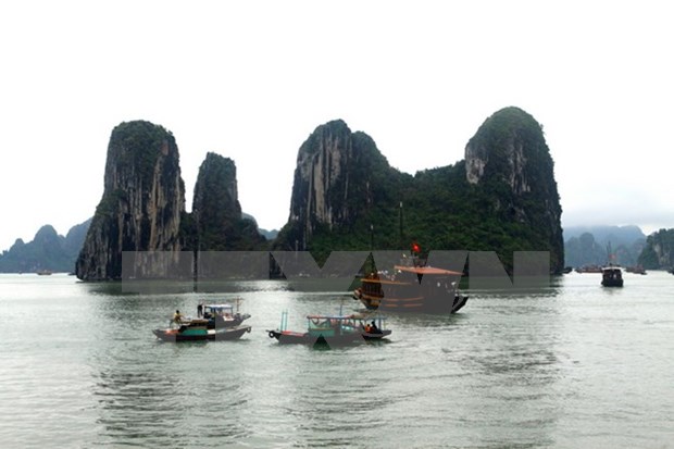 Provincias vietnamitas cooperan entre si para desarrollo del turismo hinh anh 1