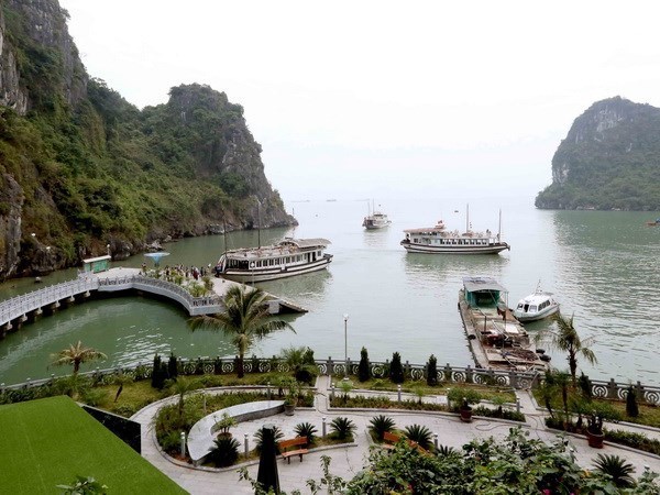 Sector turistico de Vietnam promueve la proteccion del medio ambiente hinh anh 1