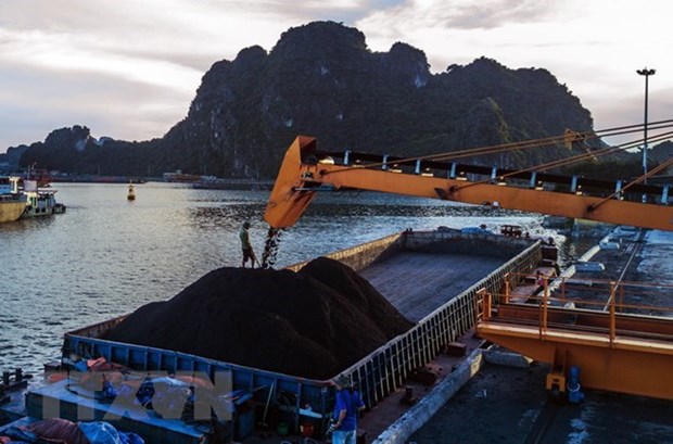 Grupo del Carbon de Vietnam se propone vender 39 millones de toneladas este ano hinh anh 1