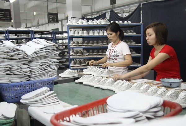 Analizan impactos de tratados comerciales a la industria textil de Vietnam hinh anh 1
