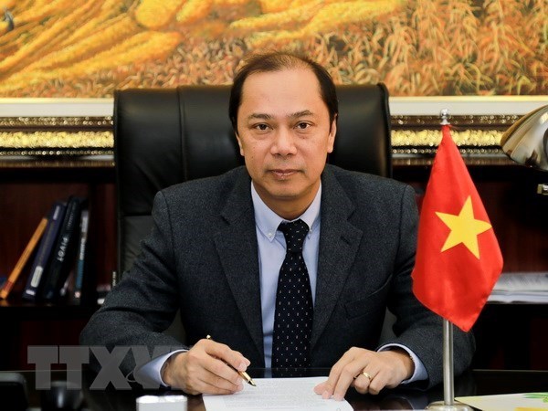 Vietnam destaca importancia de conectividad maritima ASEAN- India hinh anh 1