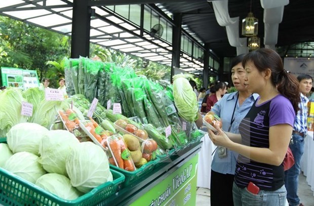 Vietnam espera ingresar casi cinco mil millones de dolares por exportacion de frutas y verduras hinh anh 1