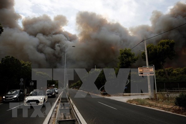 Vietnam expresa pesame a Grecia por fallecidos a causa de incendio forestal hinh anh 1