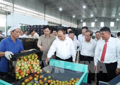 Premier vietnamita propone un modelo de desarrollo economico para Lam Dong hinh anh 1