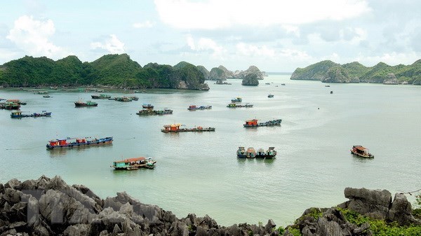 Ciudad portuaria vietnamita Hai Phong dio la bienvenida a millones de viajeros hasta julio hinh anh 1