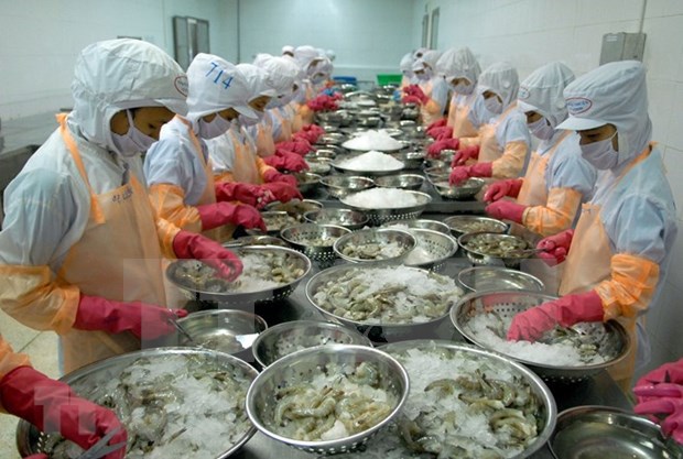 EE.UU. aplicara vigilancia a exportaciones vietnamitas de camaron y oreja de mar hinh anh 1