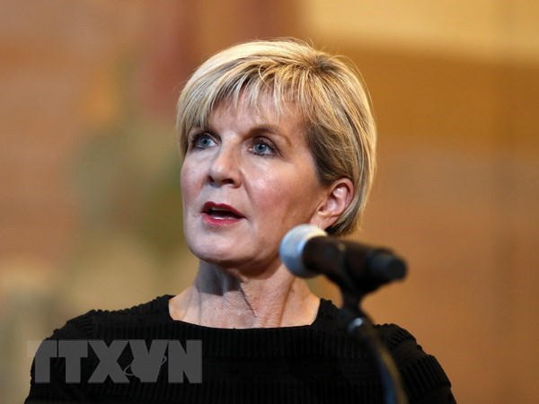 Australia respalda proceso de transformacion en Malasia, afirma canciller Julie Bishop hinh anh 1