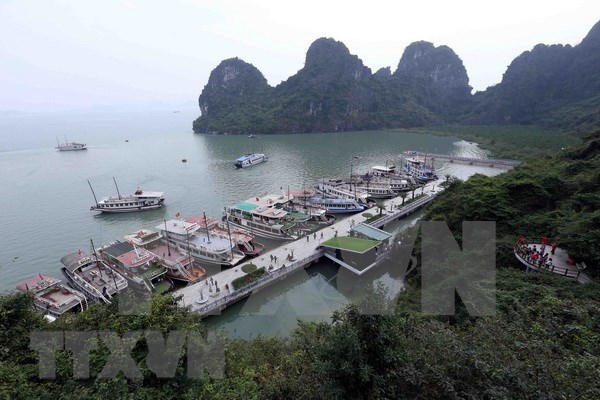 Buen ritmo en llegada de turistas a provincia norvietnamita de Quang Ninh hinh anh 1
