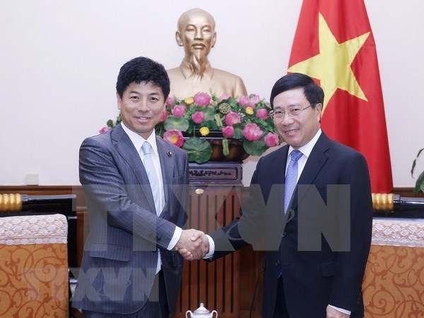Vicepremier de Vietnam aspira a fomentar cooperacion con Japon hinh anh 1