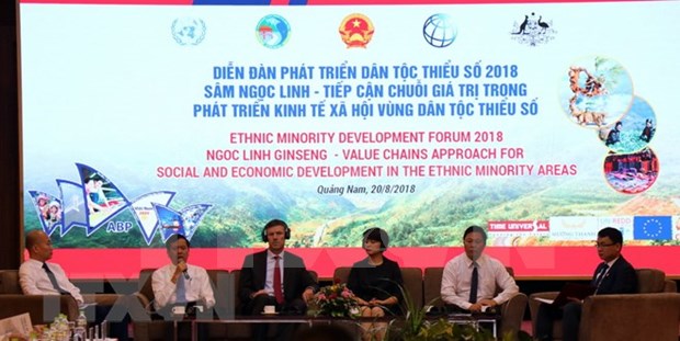 Vicepremier pide desarrollo sostenible en areas de minorias etnicas hinh anh 1