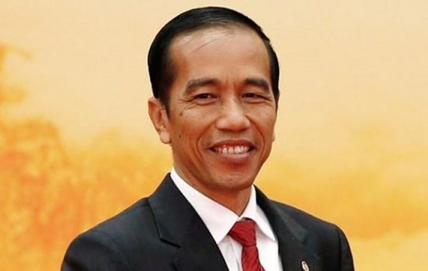 Presidente de Indonesia visitara Vietnam la proxima semana hinh anh 1