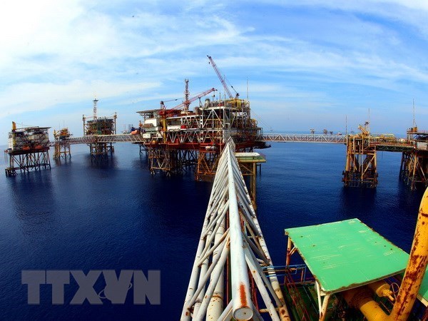 Expertos analizan medidas para agilizar explotacion petrolera en Vietnam hinh anh 1