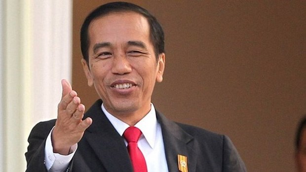 Presidente de Indonesia comenzara hoy visita estatal a Vietnam hinh anh 1