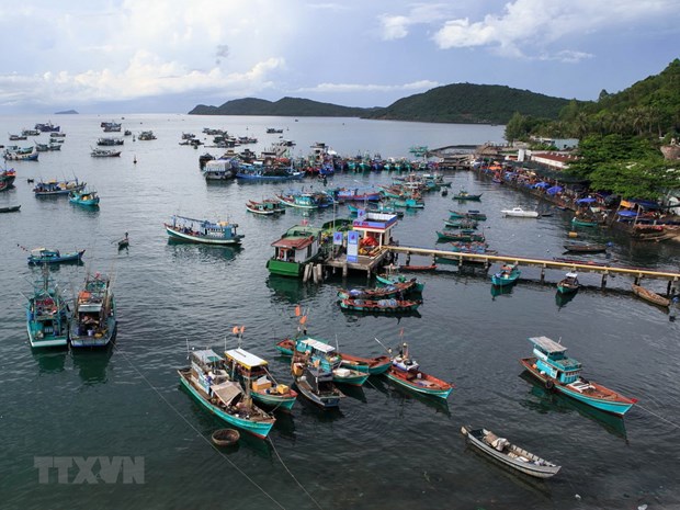 Provincia vietnamita de Kien Giang amplia cooperacion internacional hinh anh 1