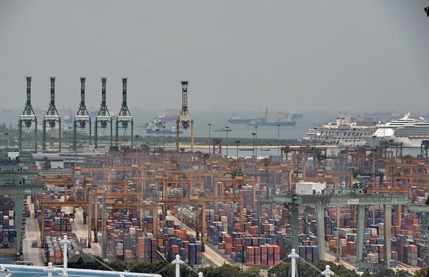 Exportaciones no petroleras de Singapur mantienen su crecimiento en agosto hinh anh 1