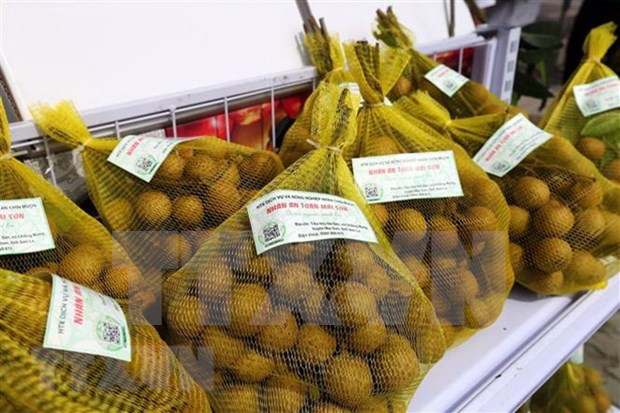 Vietnam promueve sus productos en mercado africano hinh anh 1