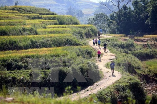 Competencia de maraton en Sapa contribuye a divulgar la belleza de Vietnam hinh anh 1