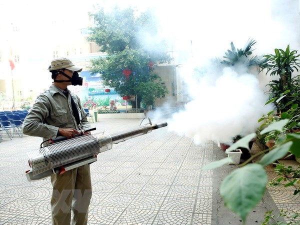 Reportan en Hanoi 136 casos con dengue en ultima semana hinh anh 1