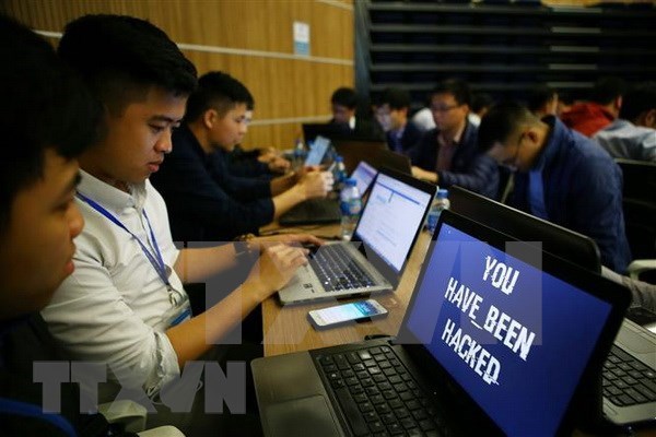 Mas de 70 por ciento de computadoras y equipos moviles en Vietnam afectados por codigos maliciosos hinh anh 1