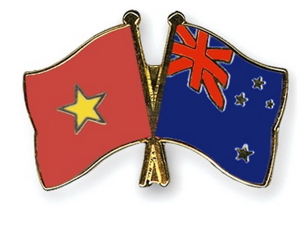 Promueven nexos entre Vietnam y Fuerza de Amistad Internacional hinh anh 1