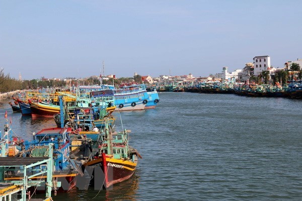 Ministro vietnamita pide reforzar medidas contra la pesca ilegal hinh anh 1