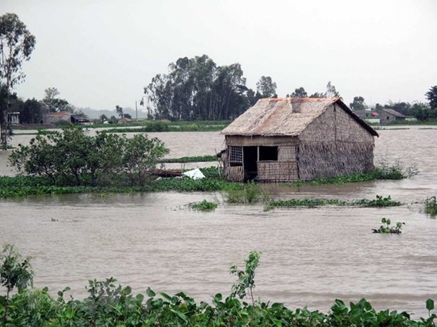 Expertos de Vietnam recomiendan incluir prevencion contra desastres en plan socioeconomico hinh anh 1