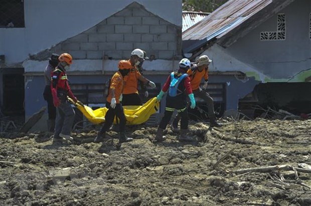 Indonesia prolonga hasta hoy busqueda de desaparecidos por terremoto y tsunami hinh anh 1