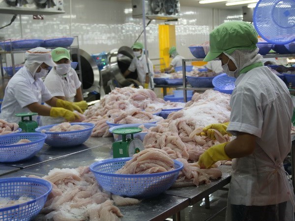 ​ Vietnam ingresaria fondo multimillonario por exportaciones del pescado Tra hinh anh 1