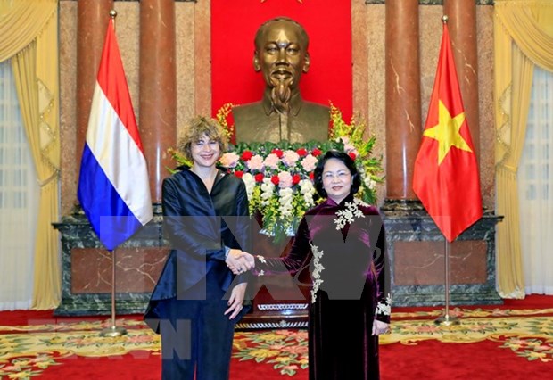 Presidenta interina de Vietnam recibe a embajadores de Paises Bajos, Belgica y Dinamarca hinh anh 1