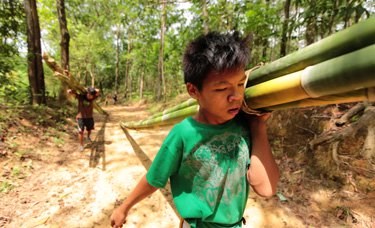 Malasia propone penas mas severas a quienes explotan el trabajo infantil hinh anh 1