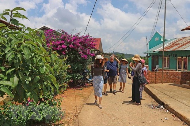 Agroturismo, nuevo estilo de turismo en la provincia vietnamita de Lam Dong hinh anh 1