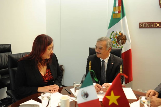 Otorga Mexico importancia a desarrollo de relaciones multifaceticas con Vietnam hinh anh 1