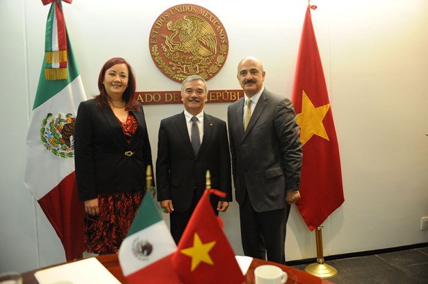 Otorga Mexico importancia a desarrollo de relaciones multifaceticas con Vietnam hinh anh 2