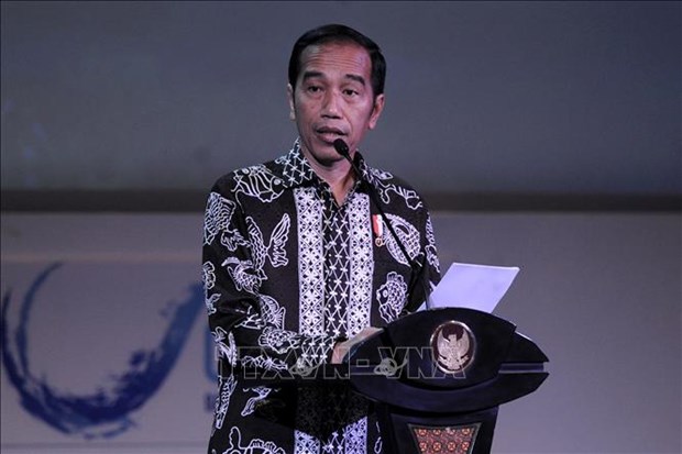 Indonesia planea convertirse en una potencia naval hinh anh 1