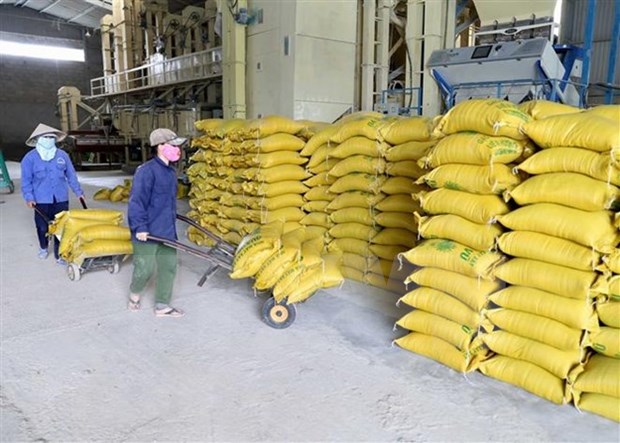 Tailandia espera exportar mas de 11 millones de toneladas de arroz este ano hinh anh 1