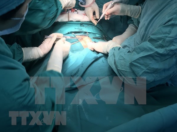 Especialistas estadounidenses cooperan con colegas vietnamitas en cirugias esteticas hinh anh 1
