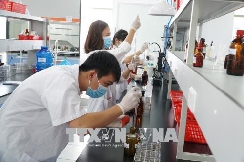 Empleadores vietnamitas intensificaran reclutamiento de trabajadores en 2019, segun encuesta hinh anh 1