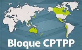 CPTPP crea nuevo entorno economico para empresas vietnamitas hinh anh 1