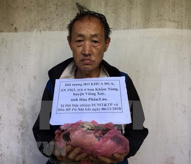 Arrestan a ciudadano laosiano por introducir ilegalmente drogas en Vietnam hinh anh 1