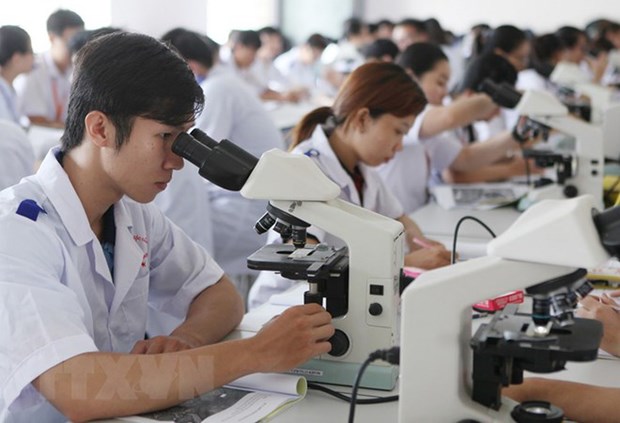 Vietnam y Japon promueven intercambio academico en la medicina hinh anh 1