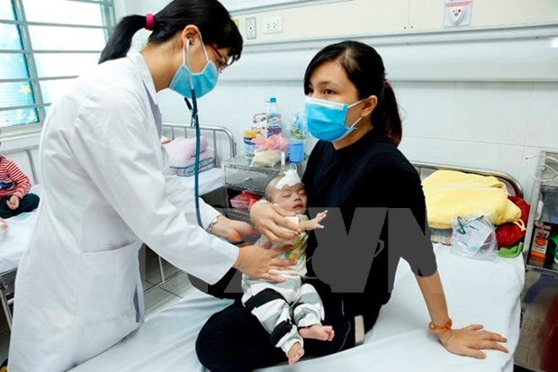 Vietnam no reporta nuevos casos de gripe aviar H5N1 en humanos desde 2014 hinh anh 1