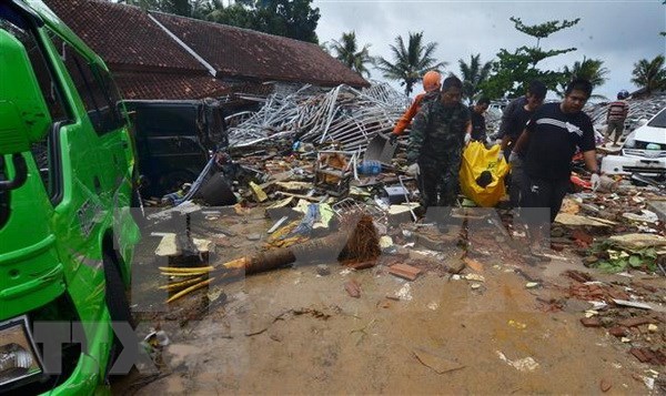 Dirigentes vietnamitas expresan condolencias por tsunami en Indonesia hinh anh 1